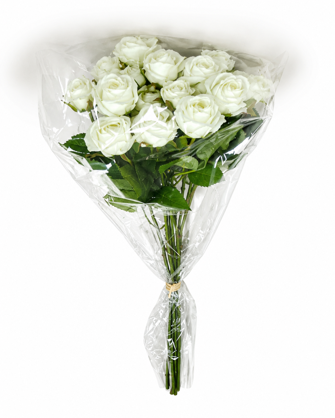 PA10452 MINI ROSE BUNDLEx6 23"