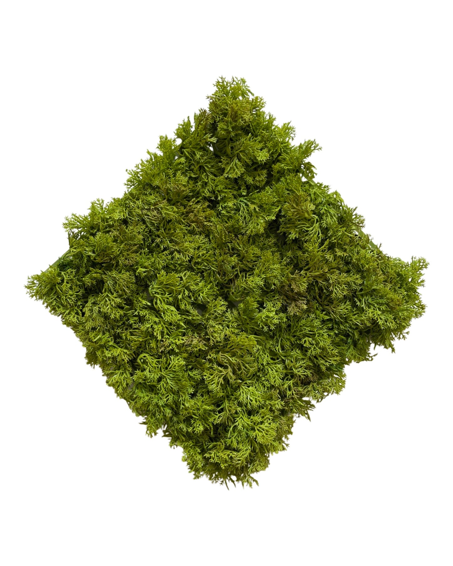 PM10291 MOSS MAT(UV,FIRE-RETARDANT),10in-40