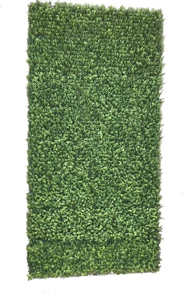 PM10332 BOXWOOD WALL MAT-UV,4'x8'