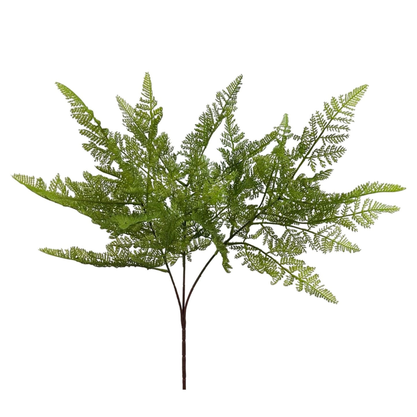 PM10368 FERN SPRAY,32in-24/120P
