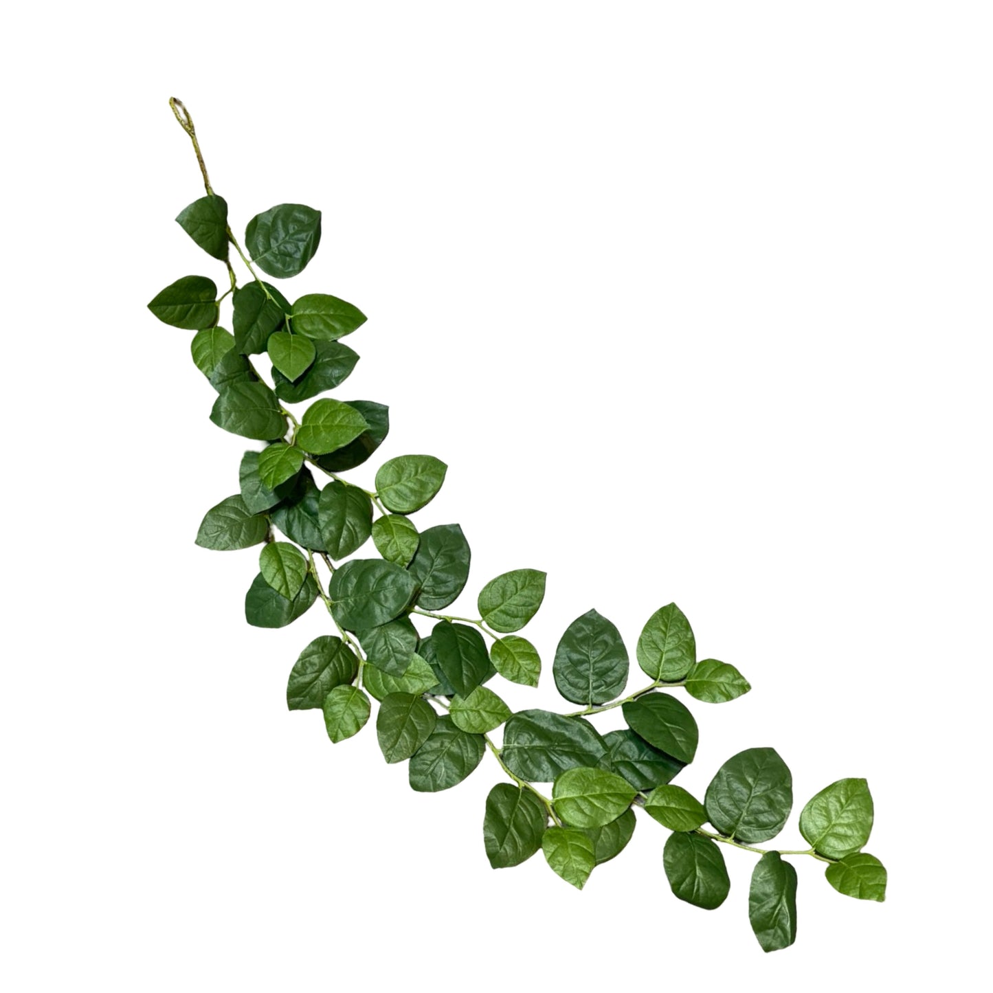 PM10517 SALAL LEAF GARLAND 5'