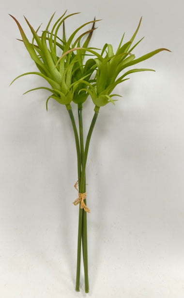PM10533 TILLANDSIA BUNDLEx3,14"