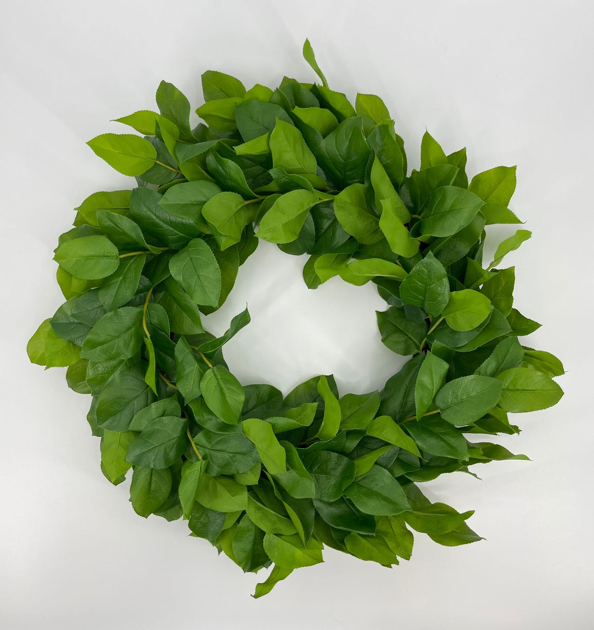 PM10607 SALAL LEAF WREATH 28"