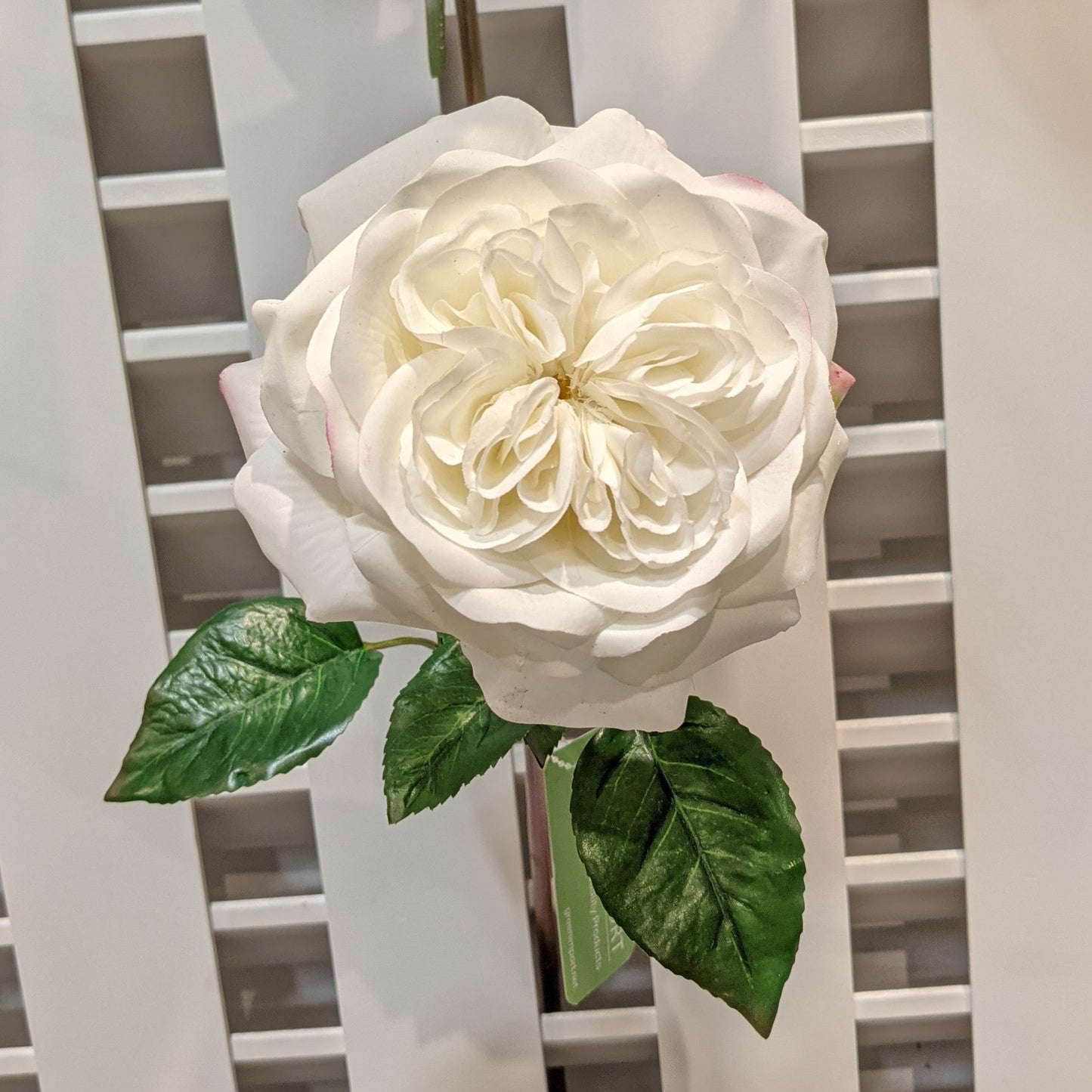 FN20022 ENGLISH ROSE SPRAY(NAT), 24"
