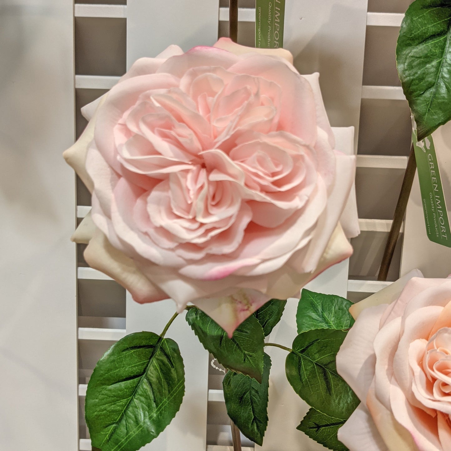 FN20022 ENGLISH ROSE SPRAY(NAT), 24"