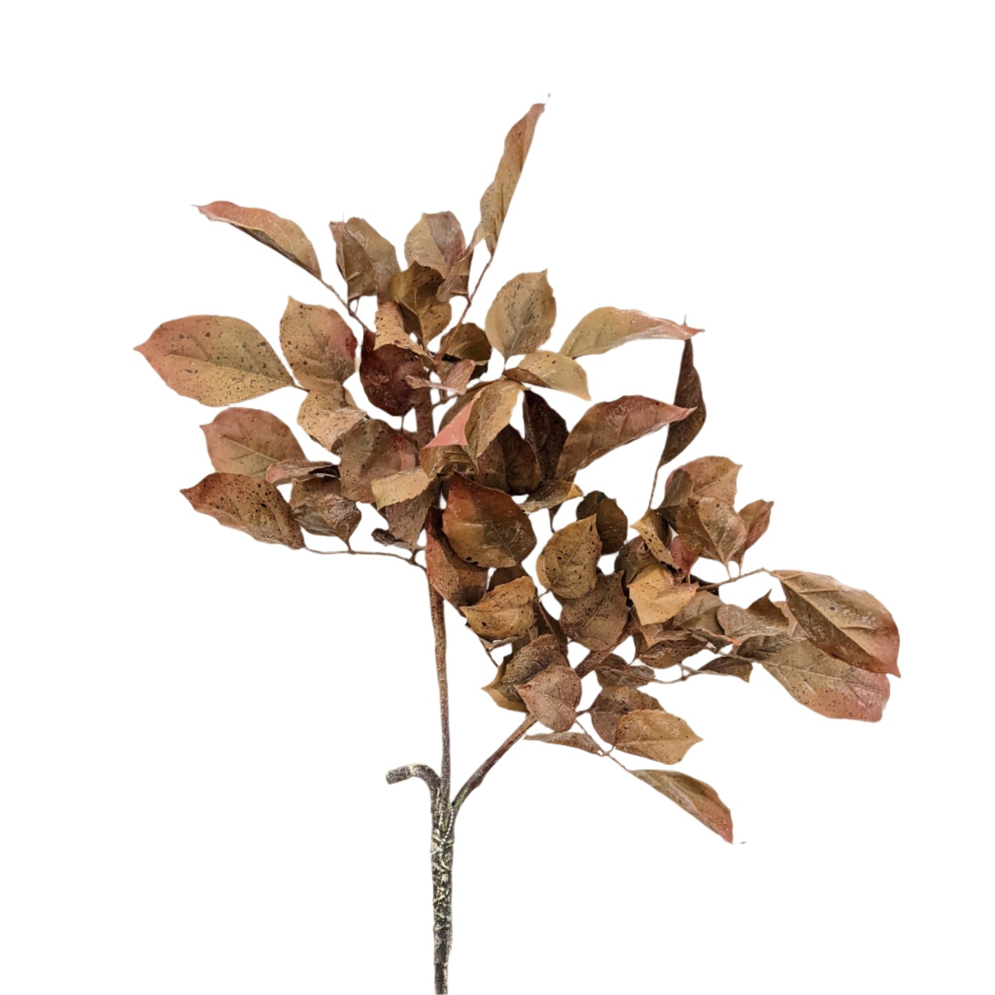 AU10032 FR BEECH LEAF SPRAY,36"