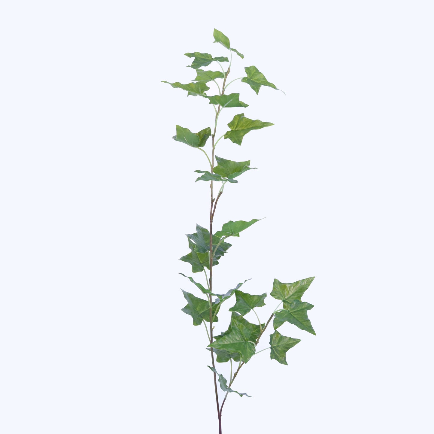 SY10306 IVY SPRAY,48in-12P/72/6.39'