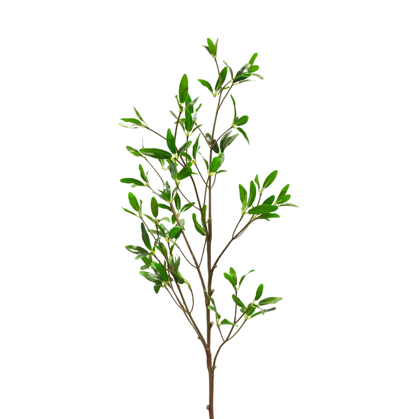 SY11002 POMEGRANATE LEAF SP,33in-12P/96/8'