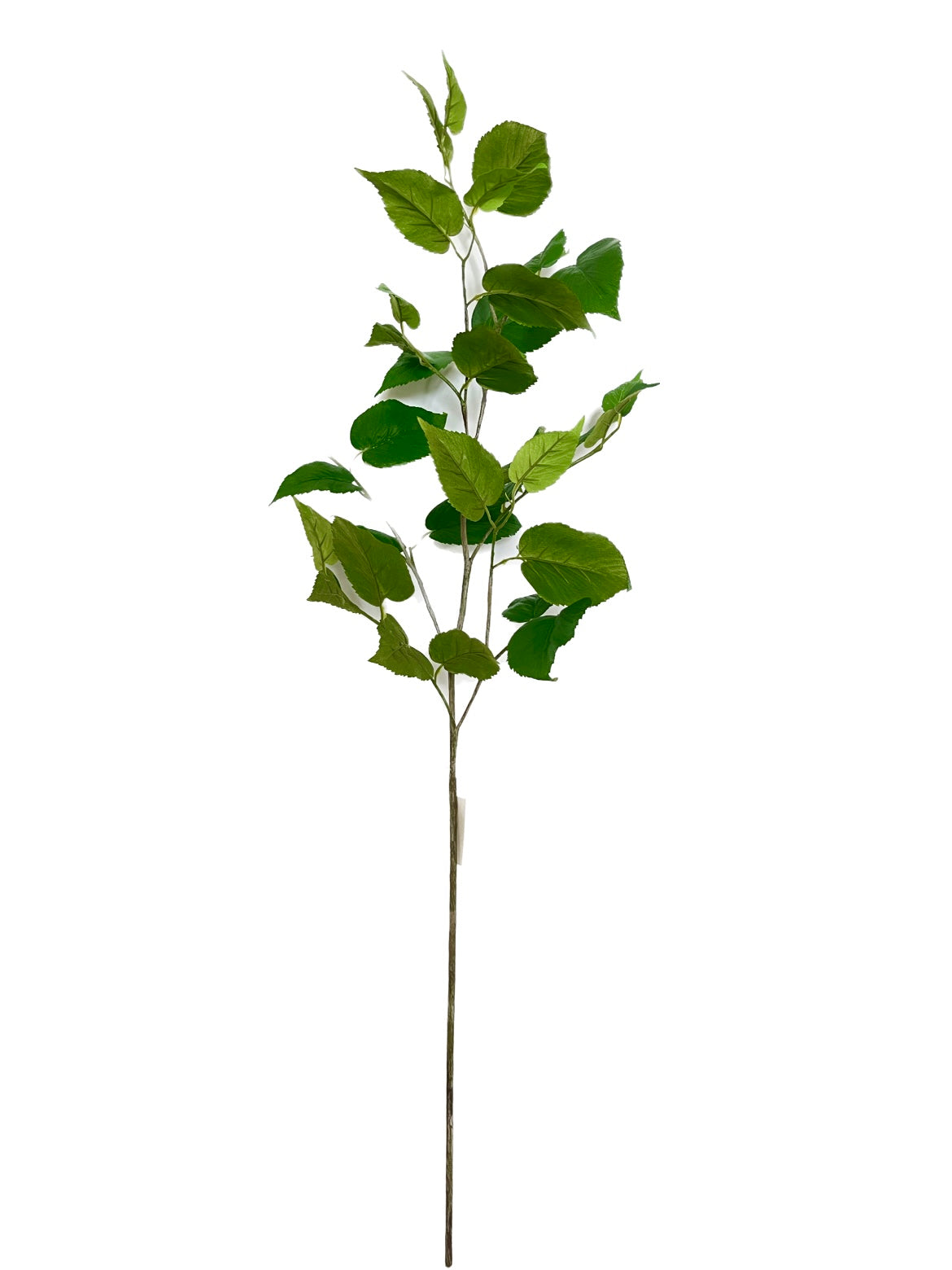 SY11147 MULBERRY LEAVES SPRAY 41"