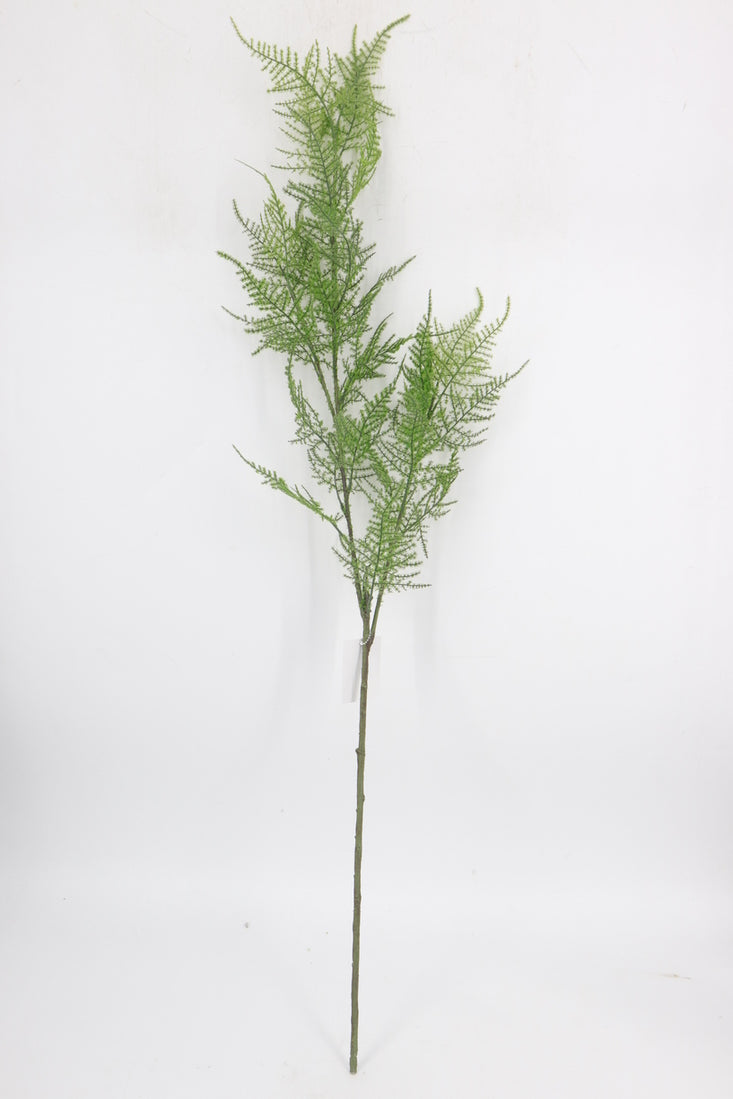SY11233 ASPARAGUS FERN SPRAY 50"