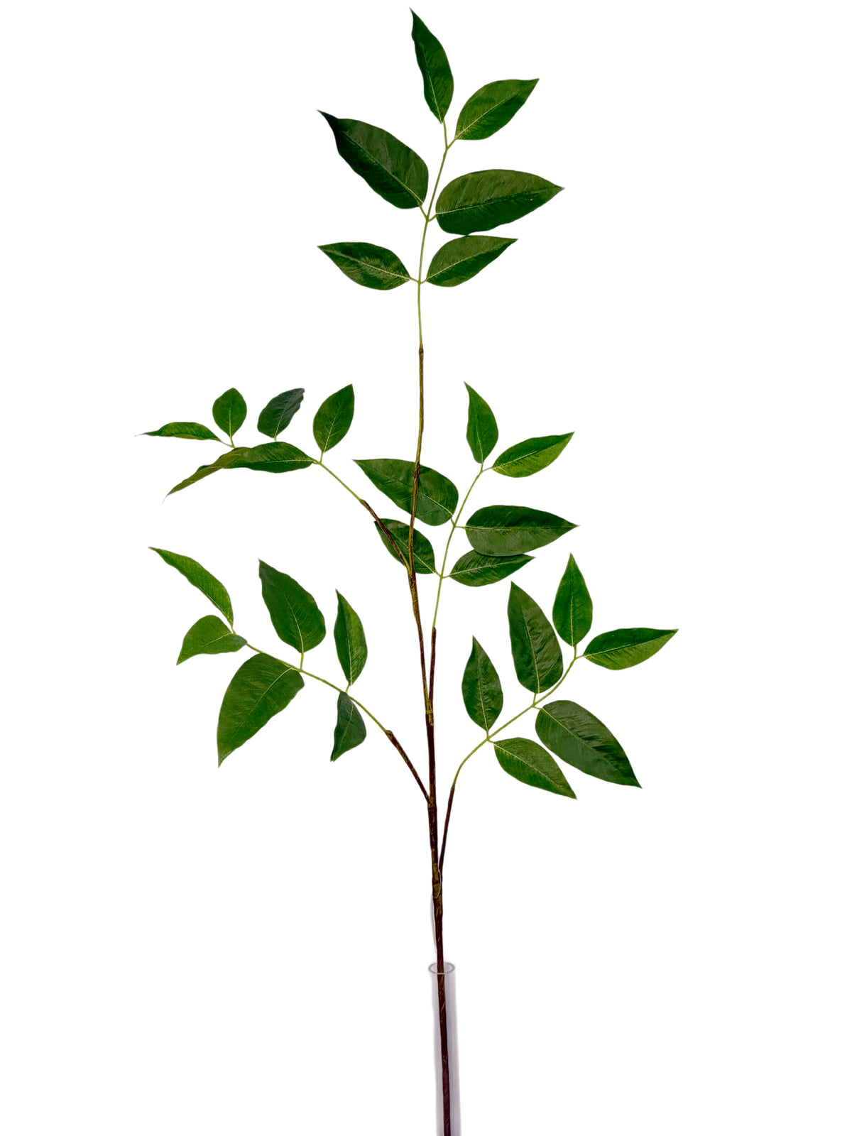 SY11252 SALAL SPRAY 56"
