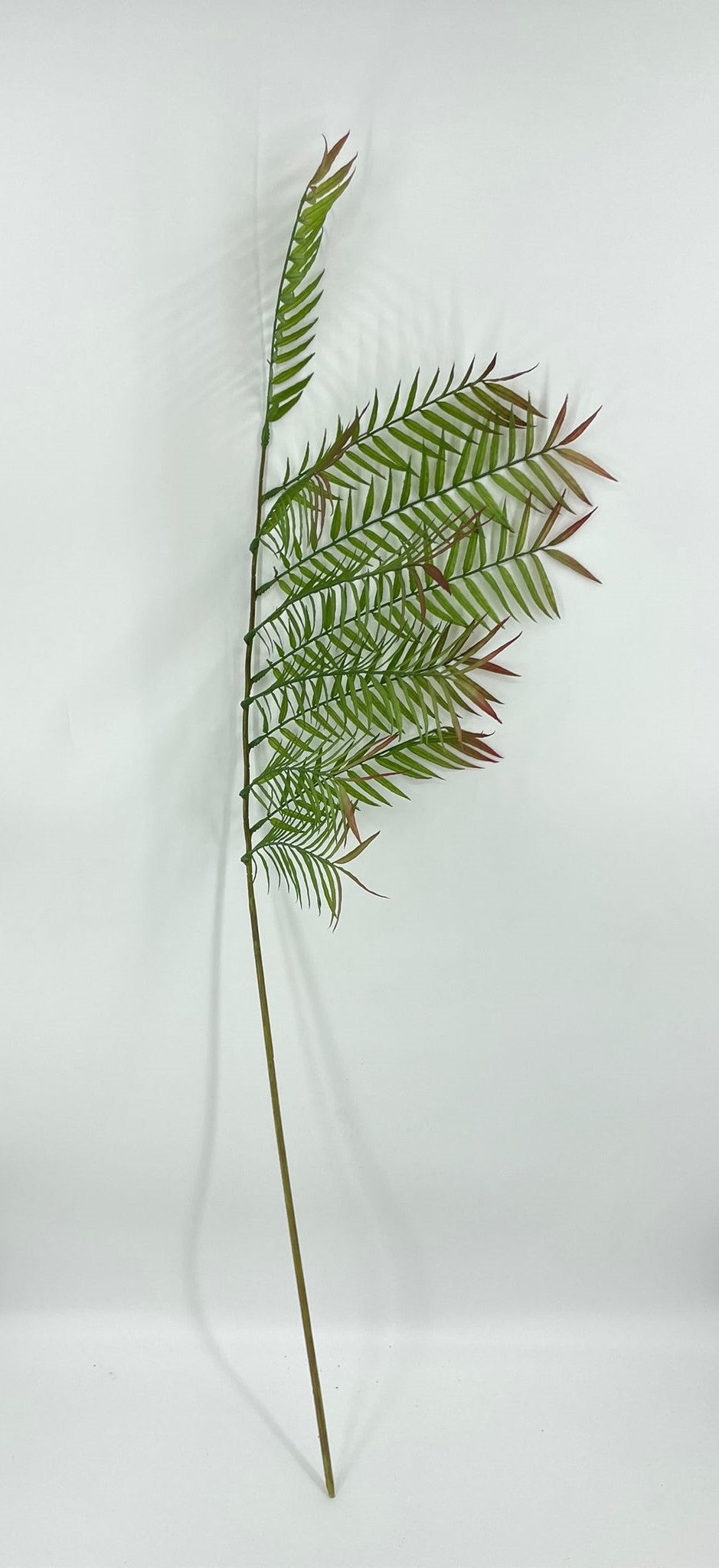 SY11261 PALM BRANCH 67"