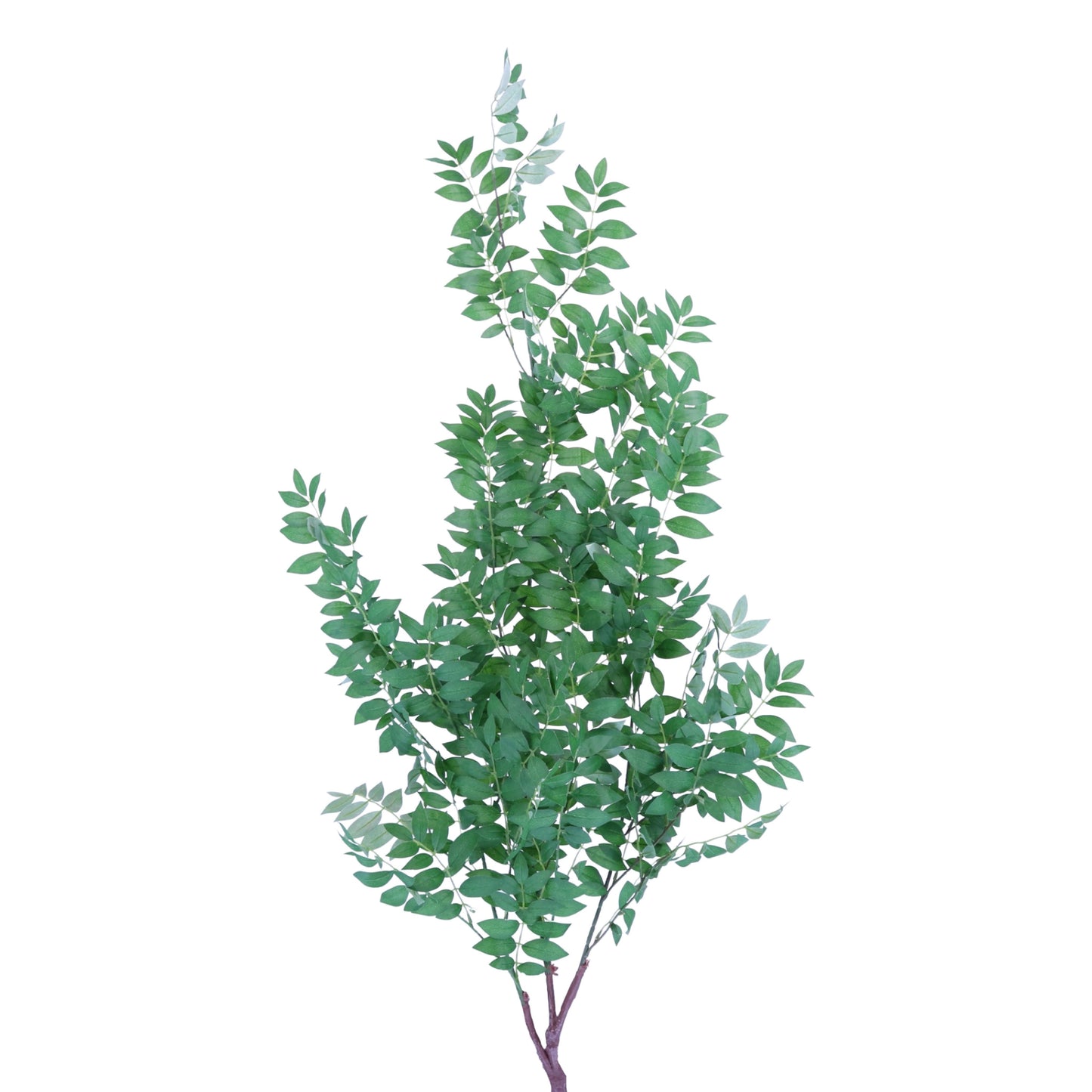 SY20006 ITALIAN RUSCUS TREE BRANCH,50in