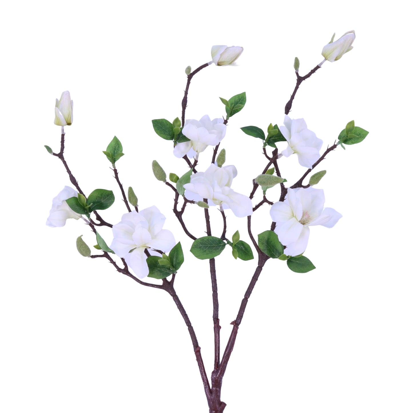 SY20009 MAGNOLIA TREE BRANCH,25in
