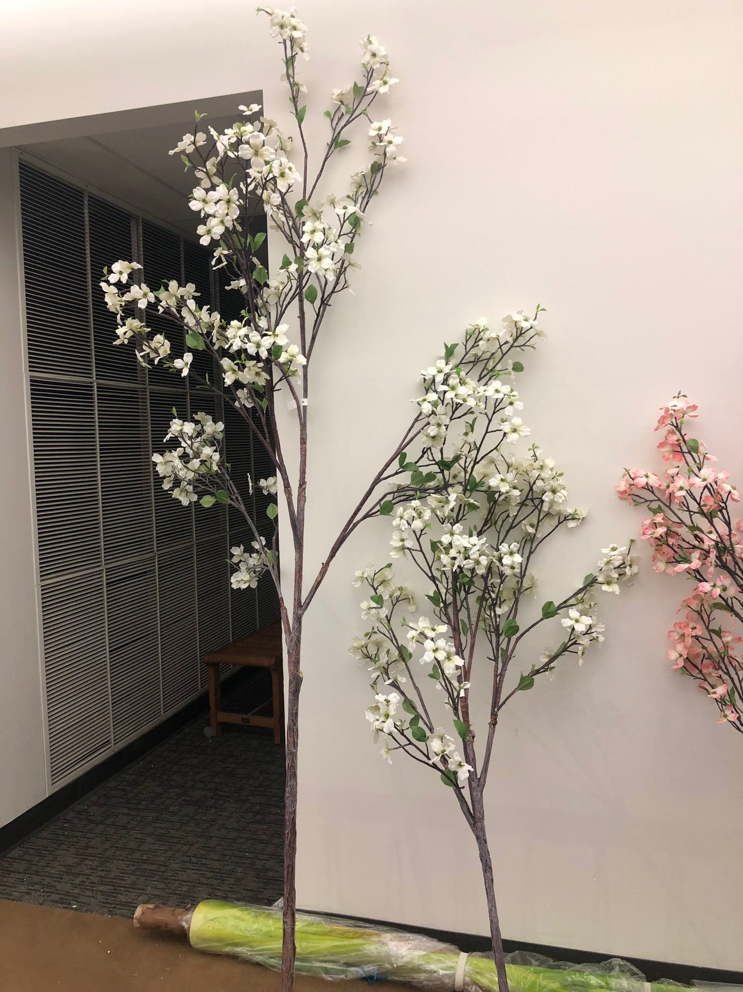TR10403 DOGWOOD TREE (NO POT),8'-1P/1.11'