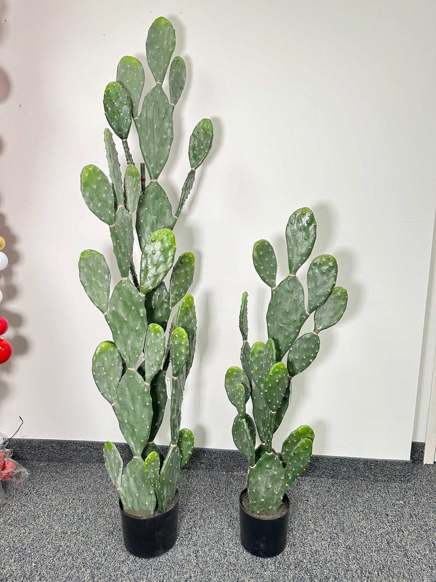 TR10762 POTTED PEAR CACTUS,4'