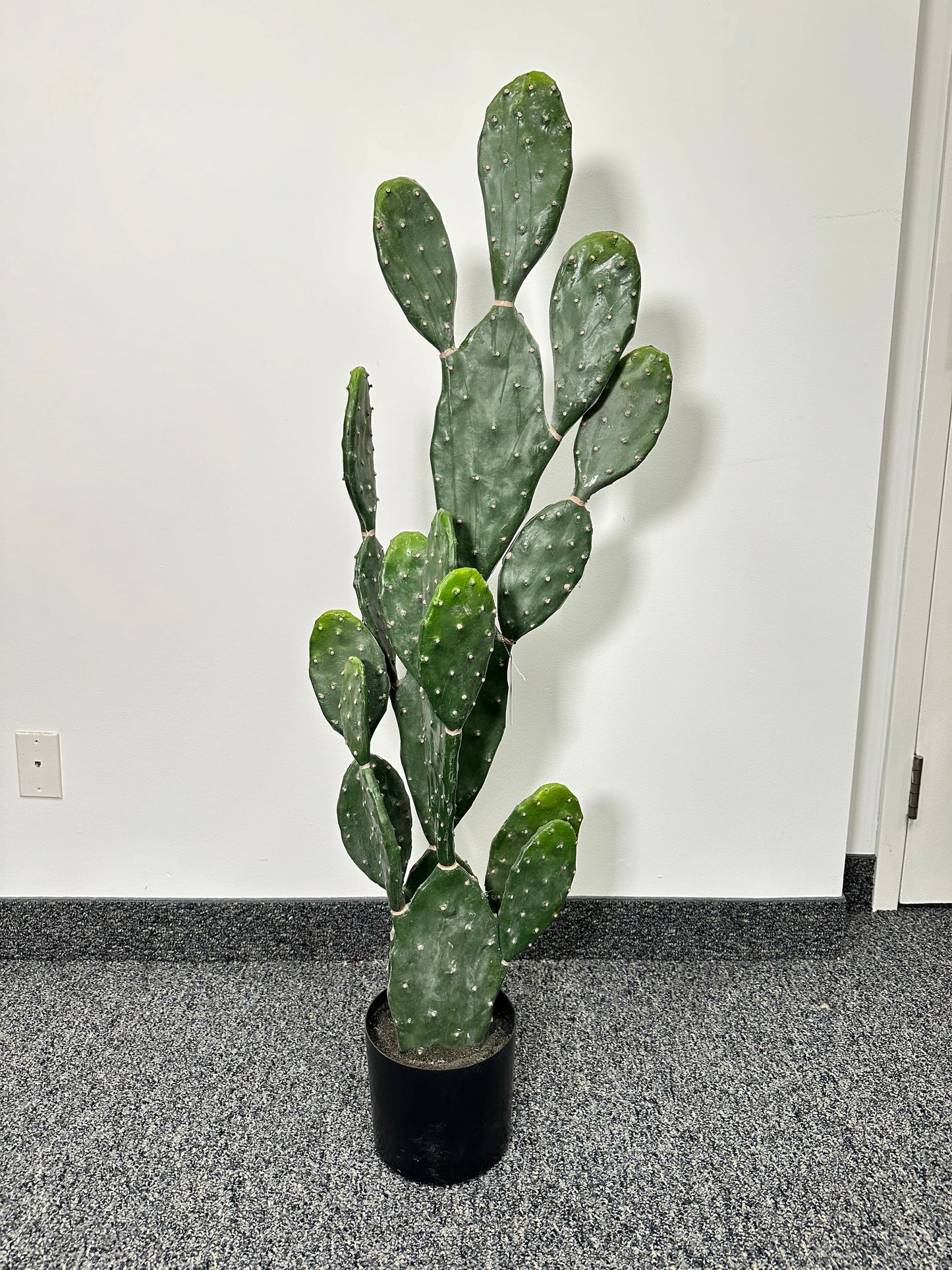 TR10762 POTTED PEAR CACTUS,4'