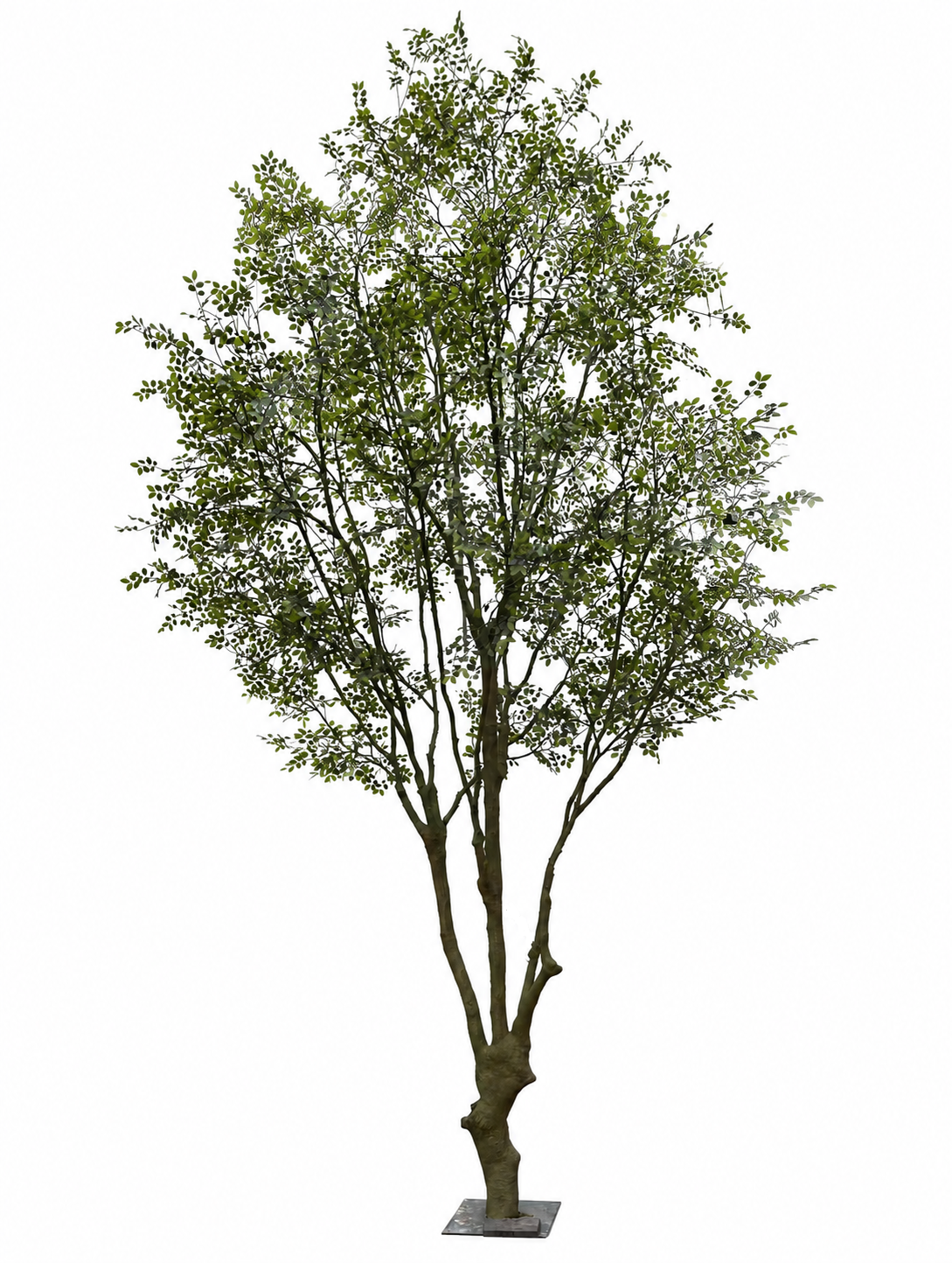 TR10919 ROSE LEAF TREE 19.5'