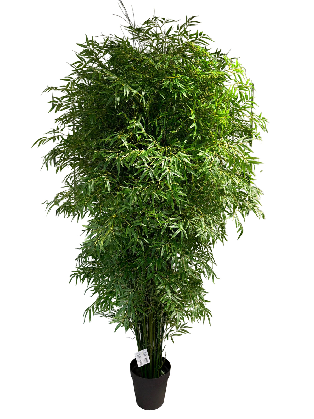TR10927 BAMBOO TREE,8'