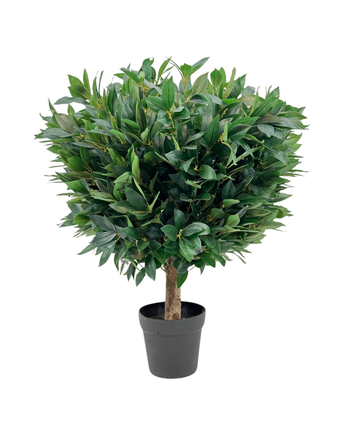 UVT1003 BAY LEAF TOPx2280L(UV),D28x33.5inH