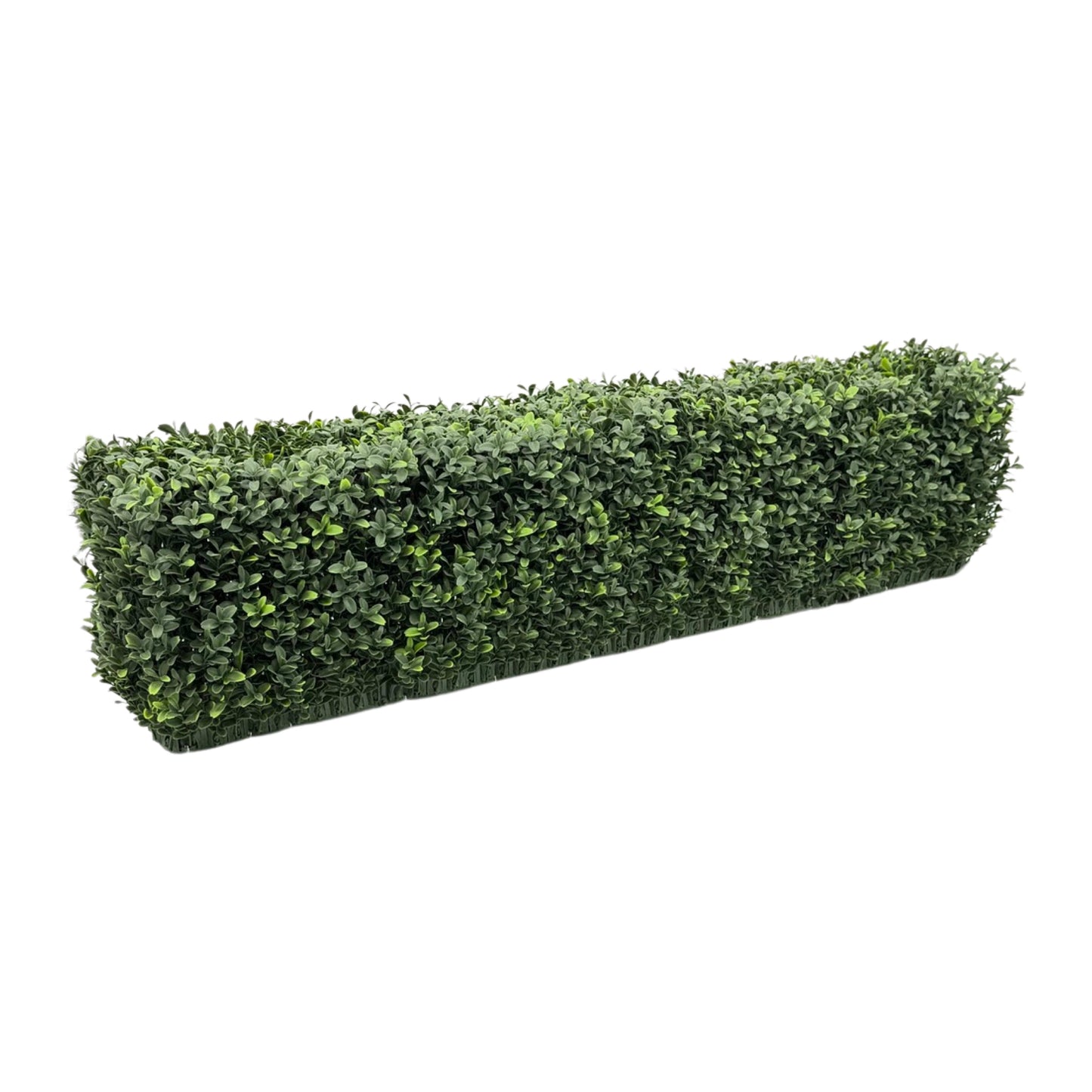 UVT1016 BOXWOOD HEDGE(UV),40x8x10inH-2P
