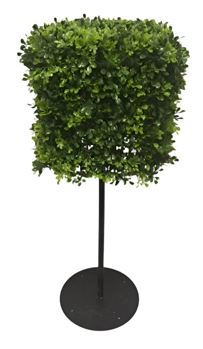 UVT1042 BOXWOOD SQUARE TREE w/STAND (UV) 16x16x38"