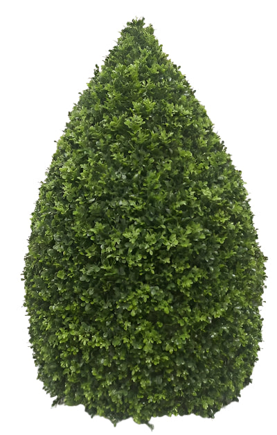 UVT1045 BOXWOOD CONE HEDGE (UV) D38x50"