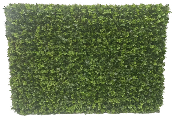 UVT1046 BOXWOOD HEDGE (UV) 64x15x44"