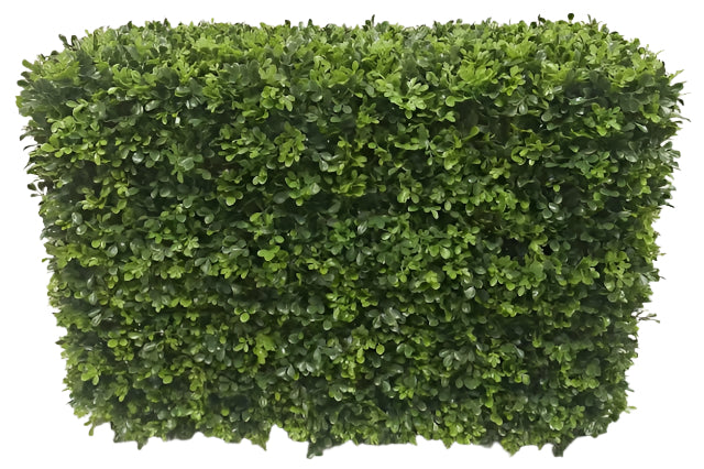 UVT1048 BOXWOOD HEDGE (UV) 36.5x15x25"