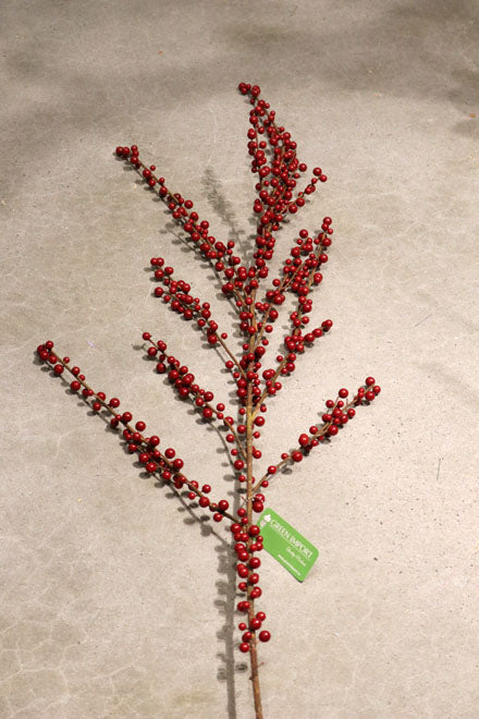 XM11325 PLASTIC ILEX BER SP,60in-12P/36/4.2
