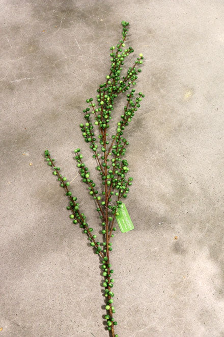 XM11325 PLASTIC ILEX BER SP,60in-12P/36/4.2