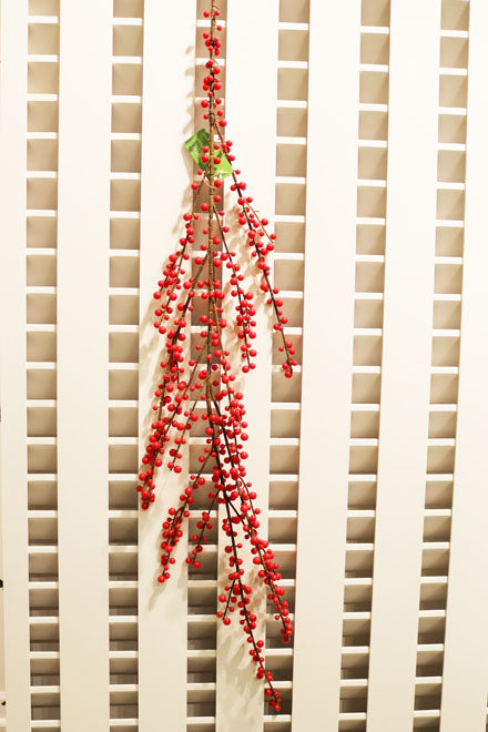 XM11325 PLASTIC ILEX BER SP,60in-12P/36/4.2