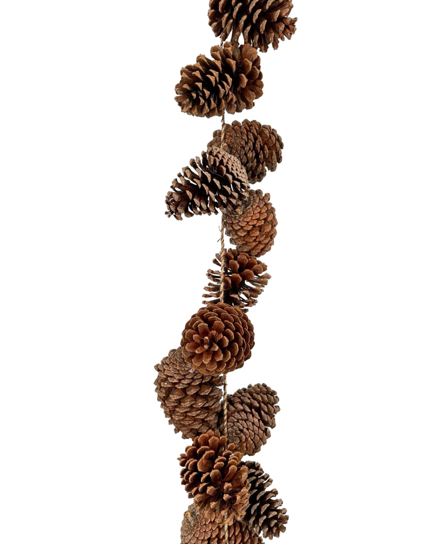 XM11938 PINECONE GARLAND,6'-4P