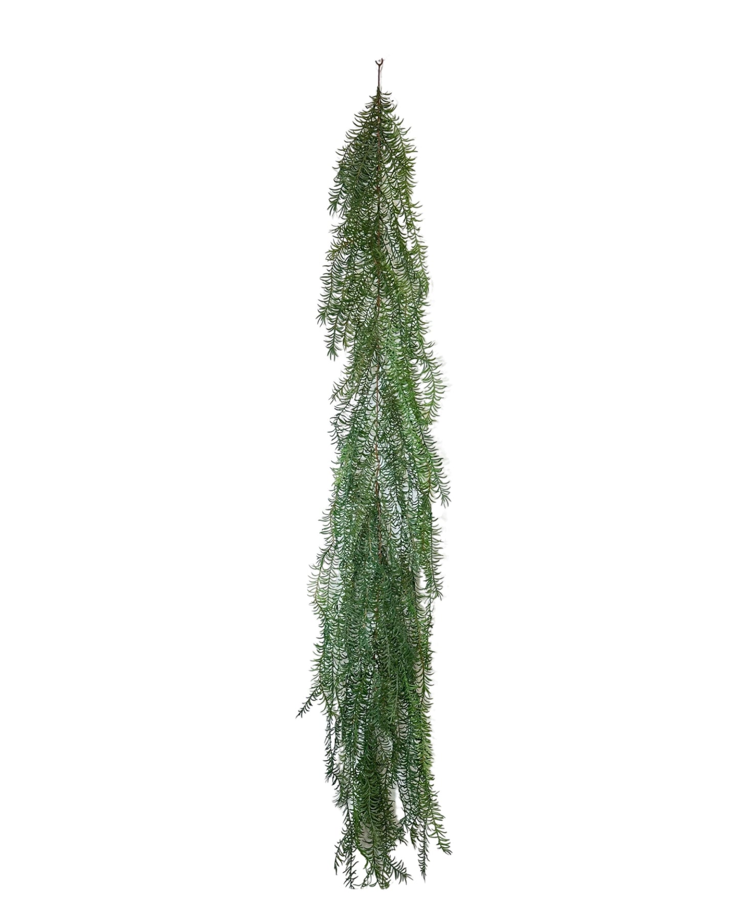 XM12434 ASPARAGUS WEEPING GARLAND,6'-3P/18