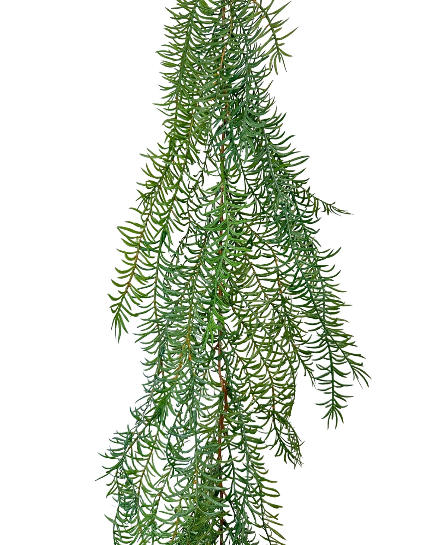XM12434 ASPARAGUS WEEPING GARLAND,6'-3P/18