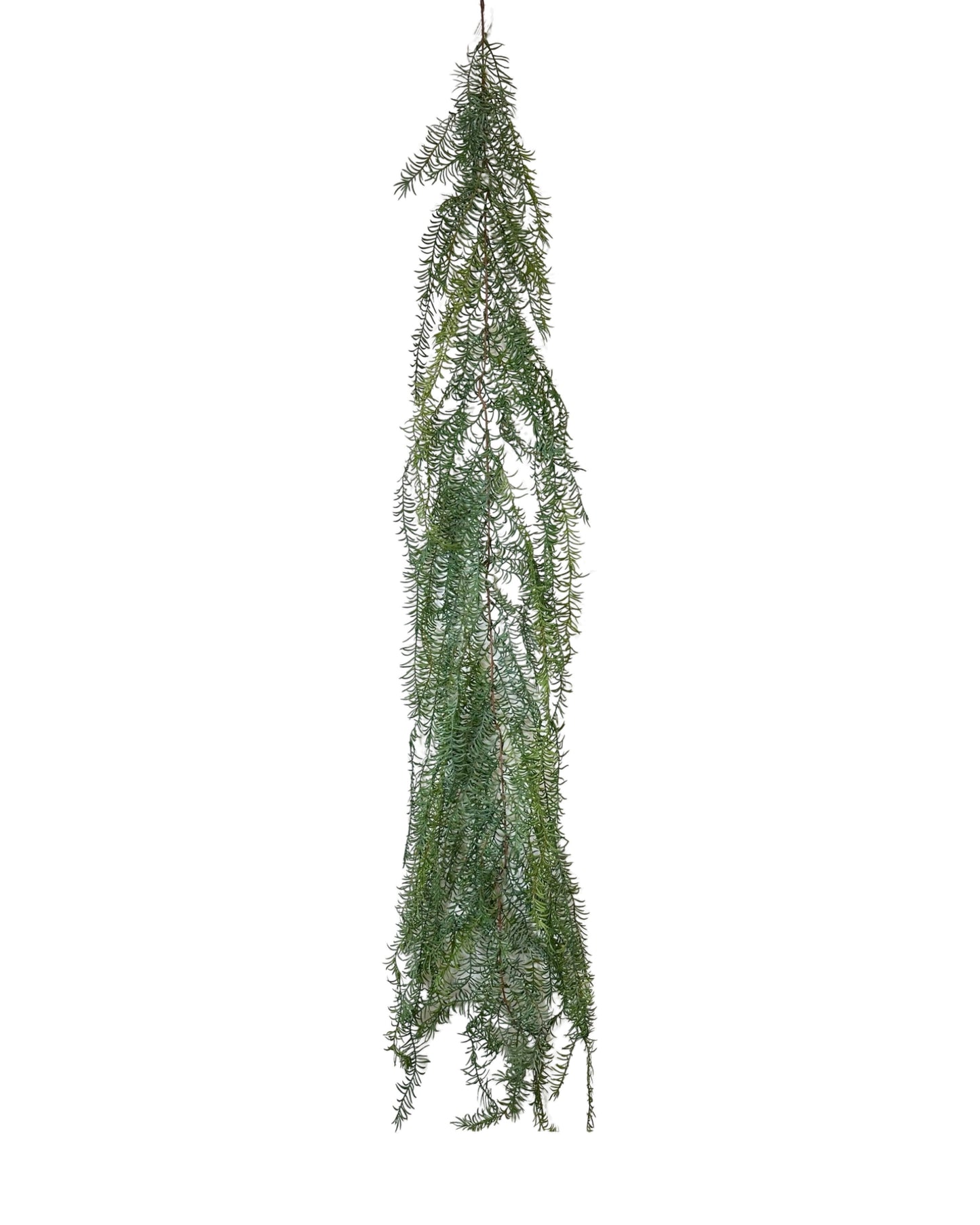 XM12434 ASPARAGUS WEEPING GARLAND,6'-3P/18