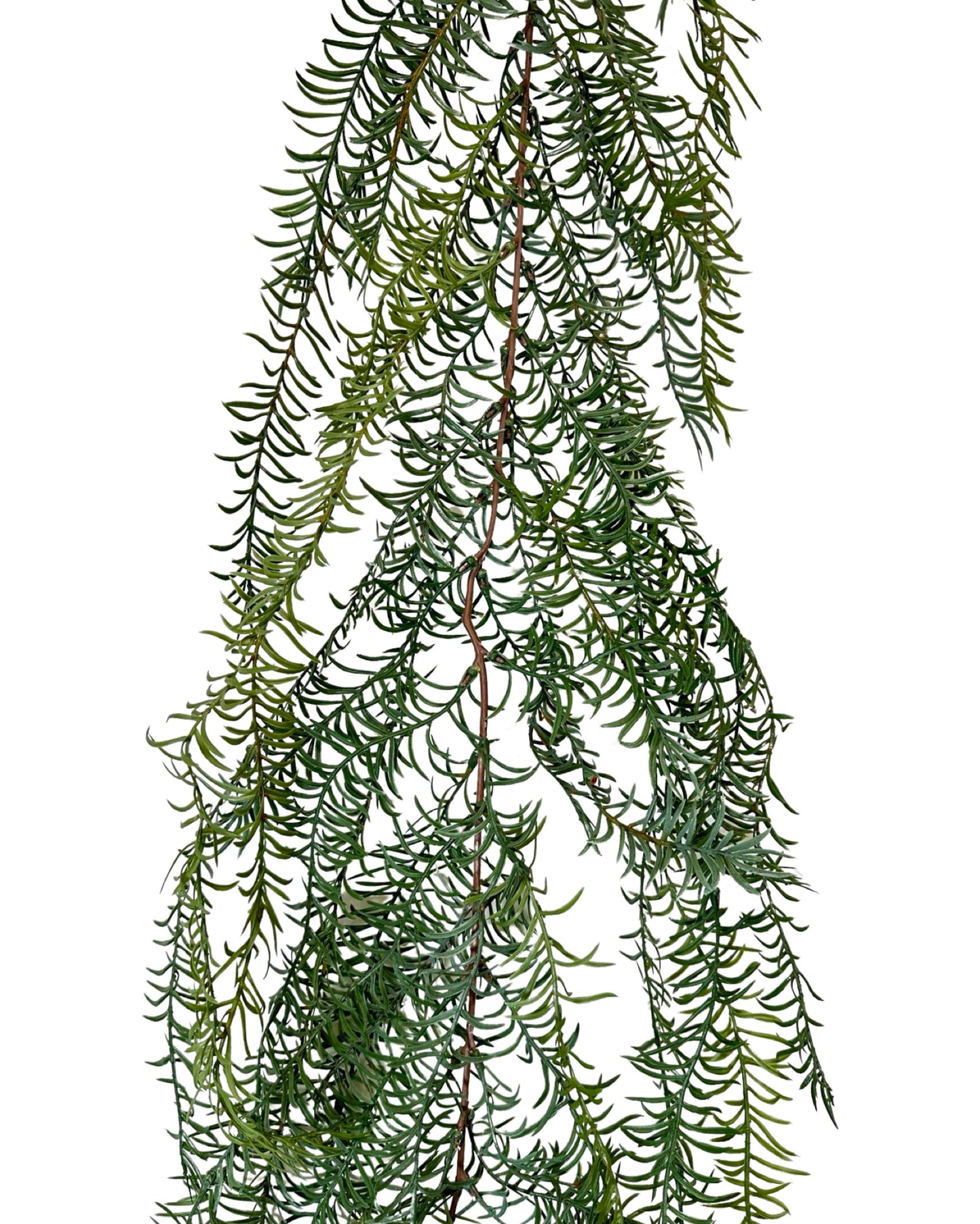 XM12434 ASPARAGUS WEEPING GARLAND,6'-3P/18