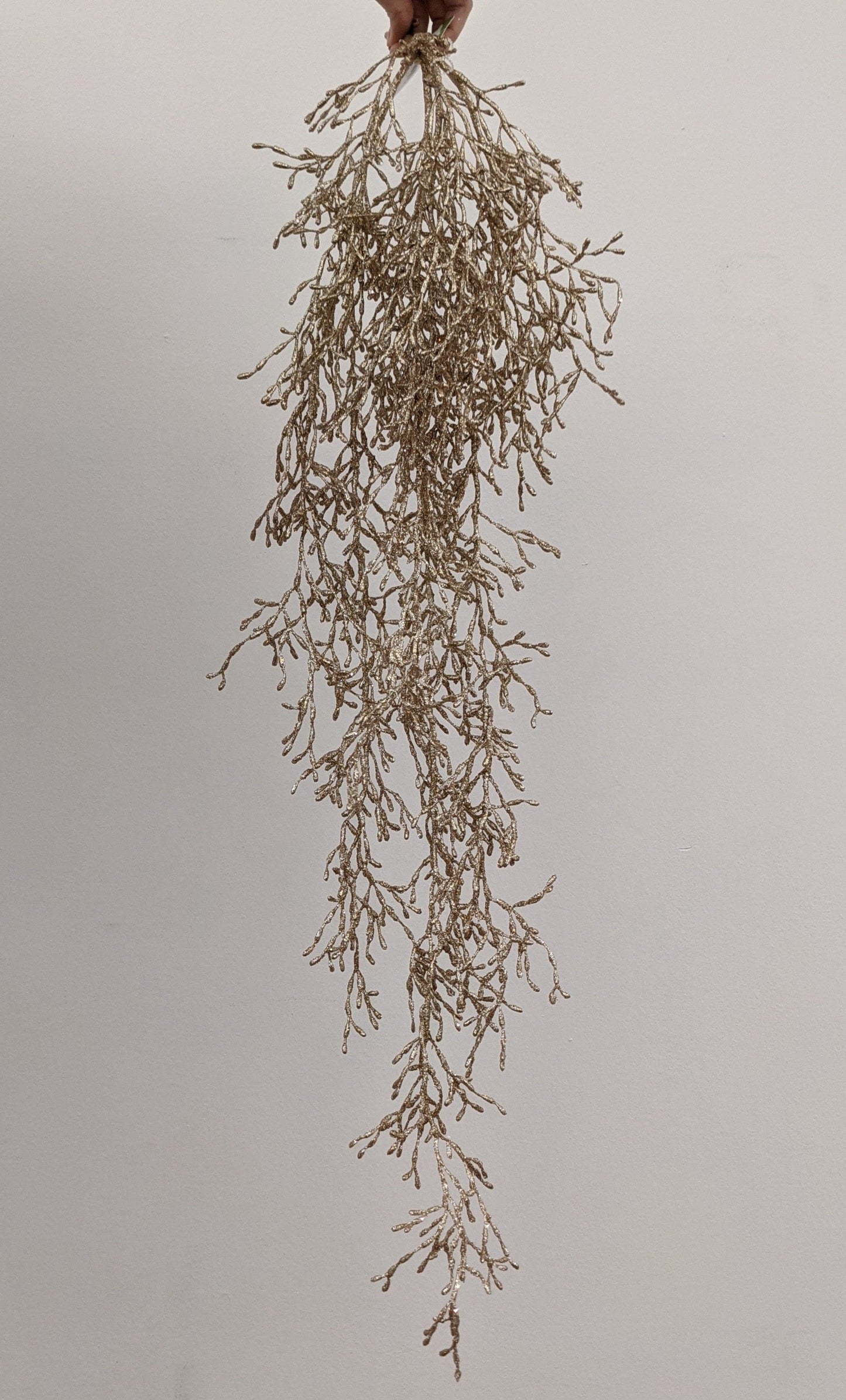 XM13261 GLT WEEPING GLASSWORT,37.5in-12/72P