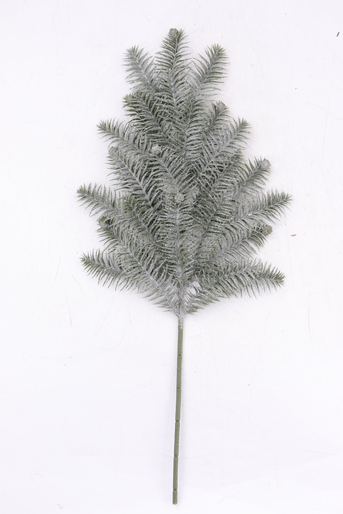 XM13450 FR PINE/BABY CONE SPRAY,25in-12/72P