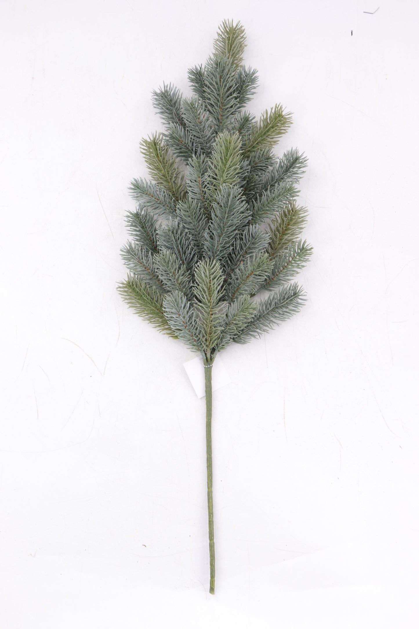 XM13455 BLUE SPRUCE SPRAY,30in-12/48P