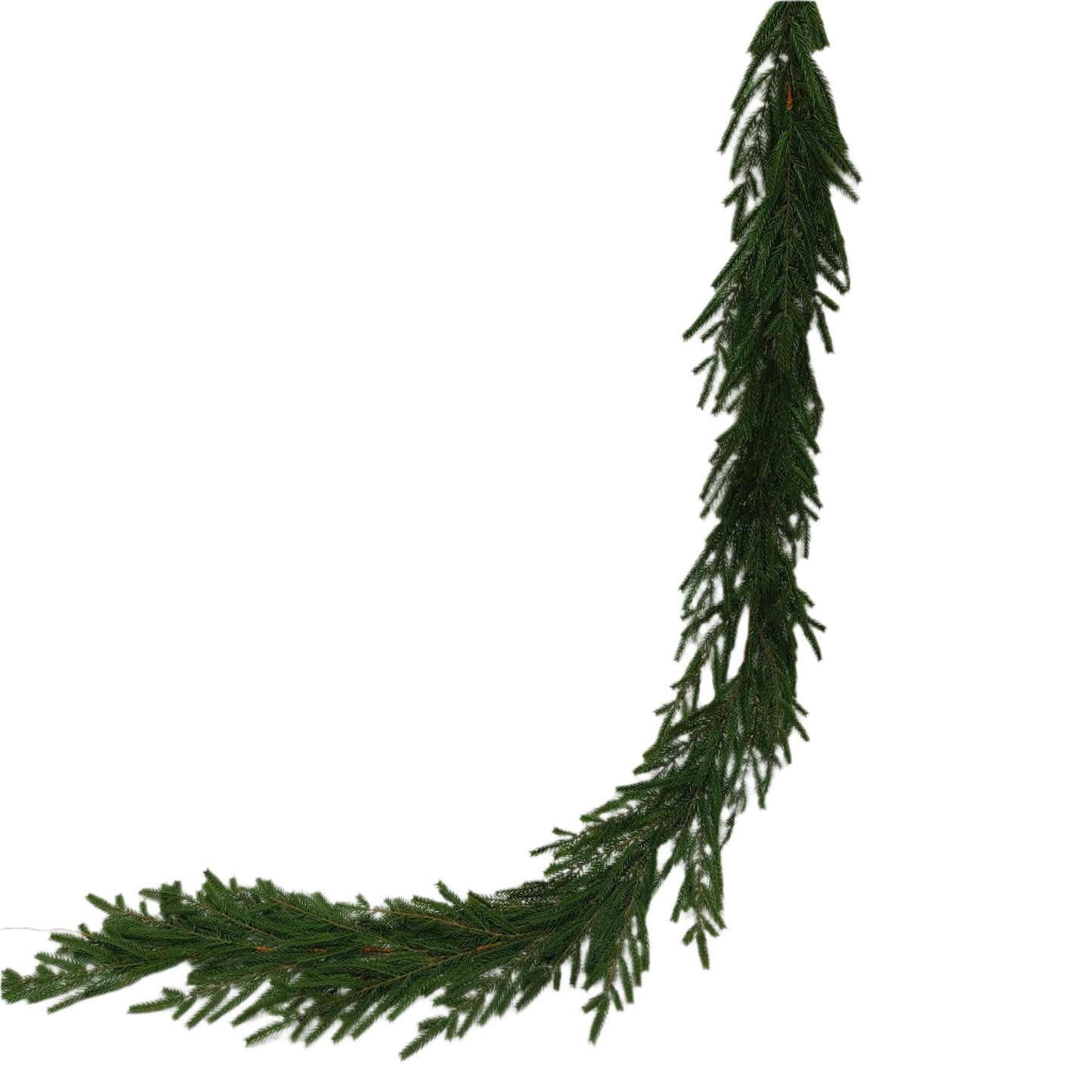 XM13604 NORFOLK PINE GARLAND,6'