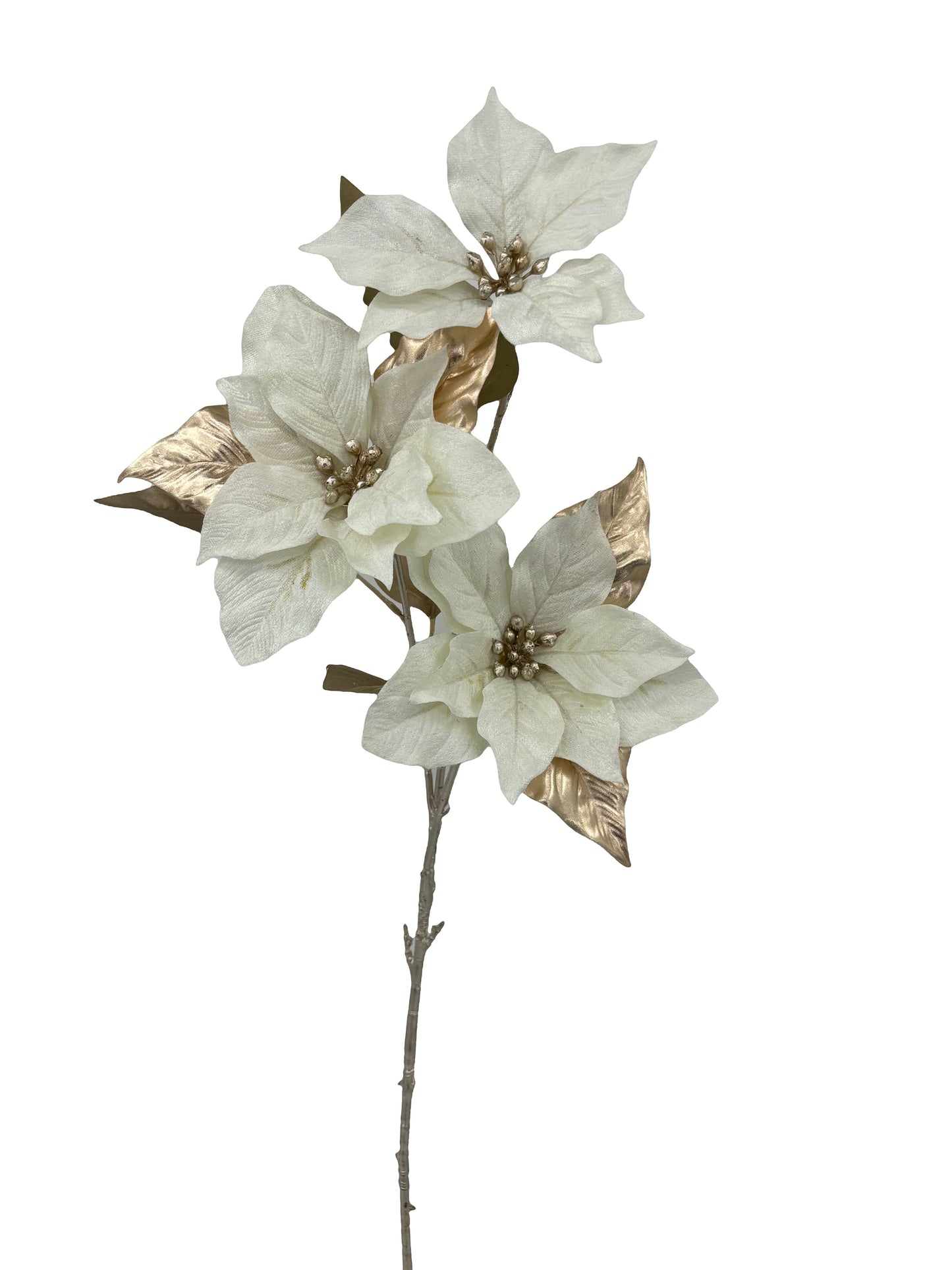 XM13721 VELVET POINSETTIA SPx3F,37in-12/96P