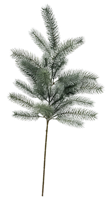 XM14016 NOBLE ANGEL PINE SPRAY 24"