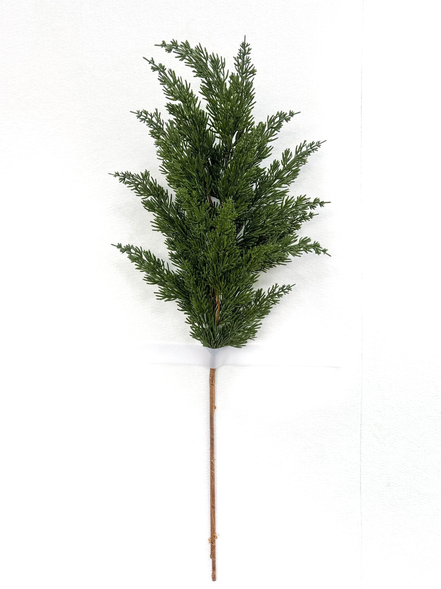 XM14551 MOUNTAIN PINE SPRAY,30"