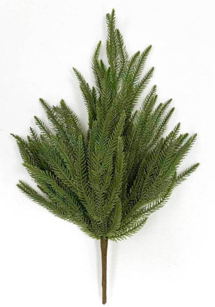 XM14597 NORFLOK PINE BUSH,21"
