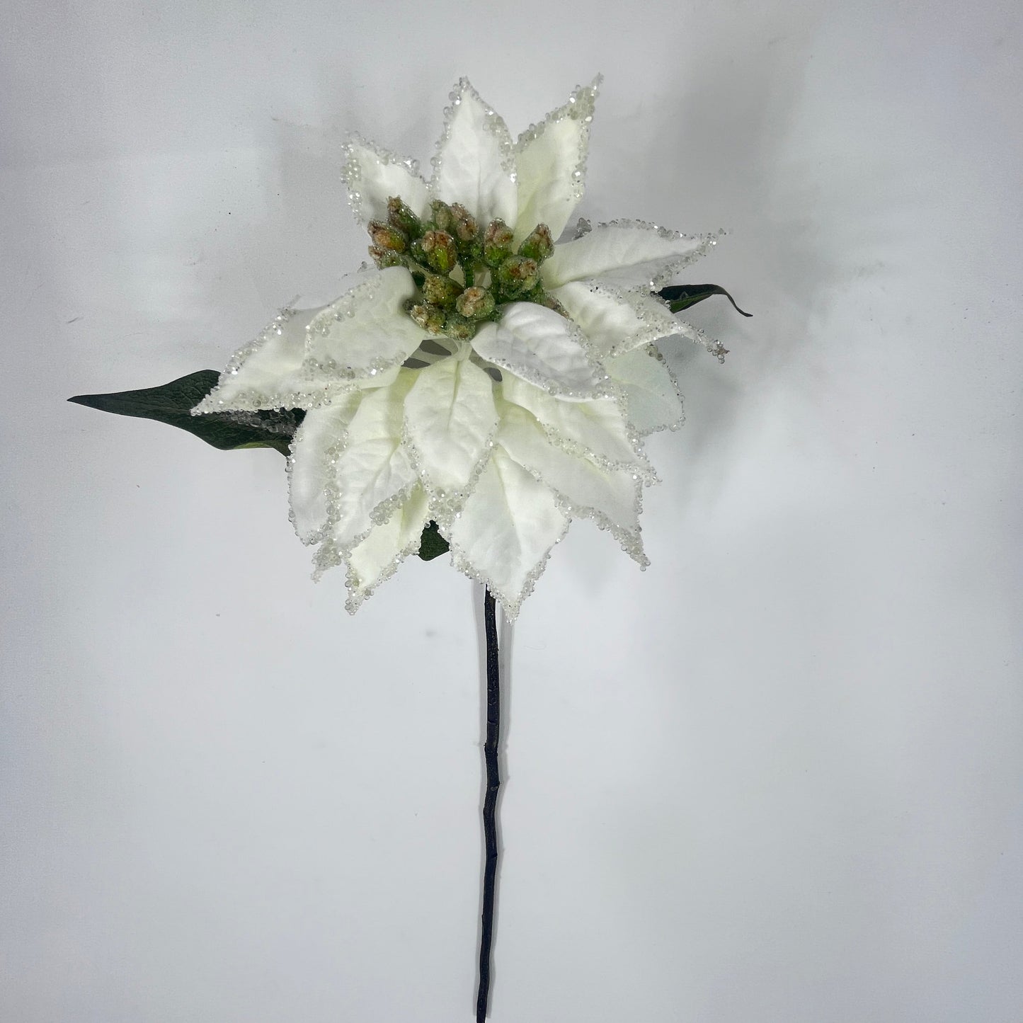 XM14741 VELVET/ICED POINSETTIA SPRAY,24"