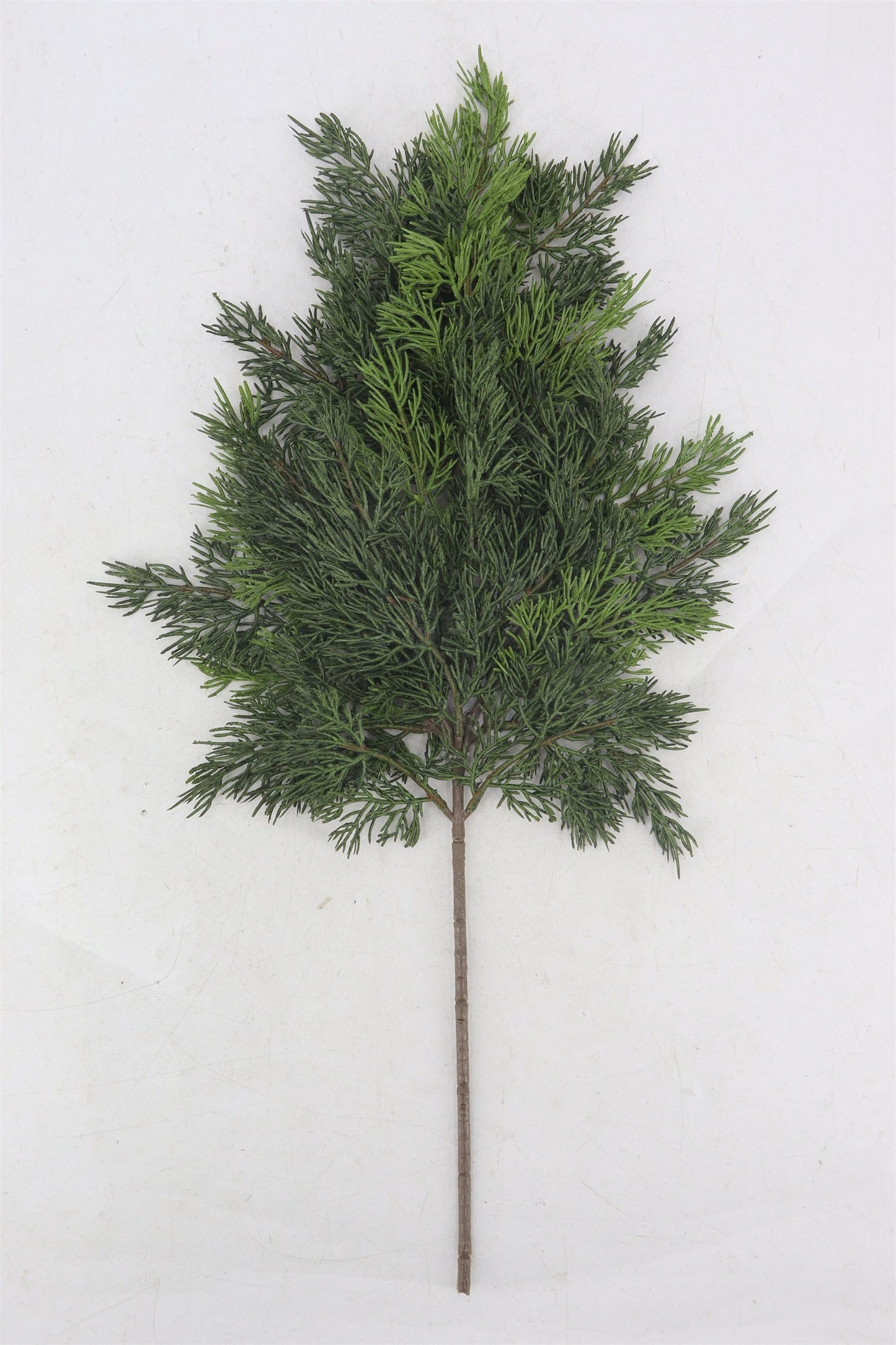 XM14764 SOFT CEDAR SPRAY,26"