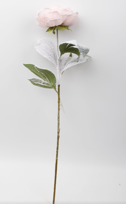 XM14831 PEONY w/SNOW SPRAY,30"