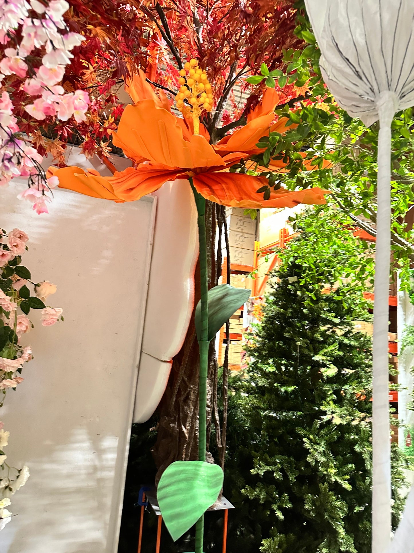 AC10365BL GIANT HIBISCUS,5'