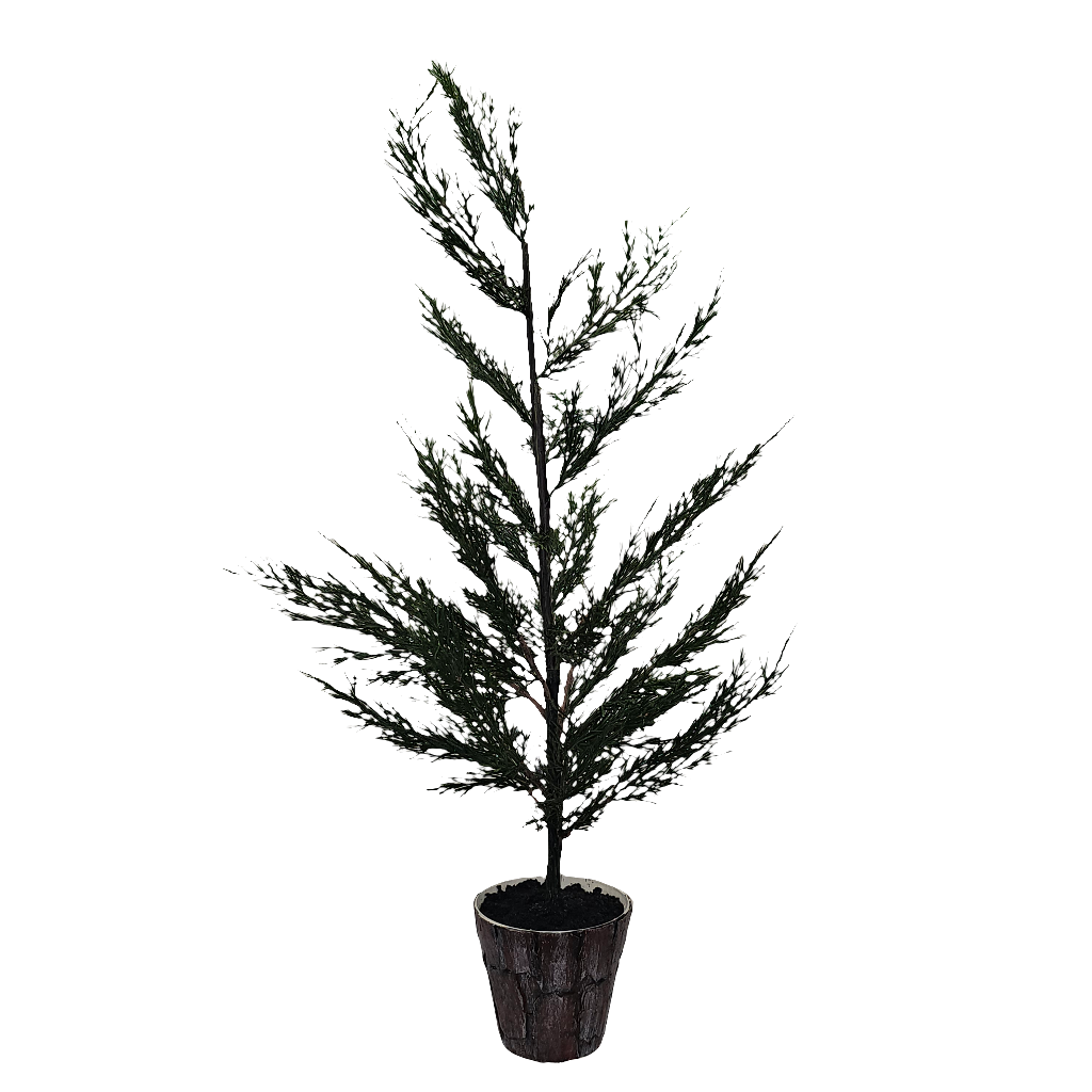 XM30068 POTTED PINE,32in-2/24P